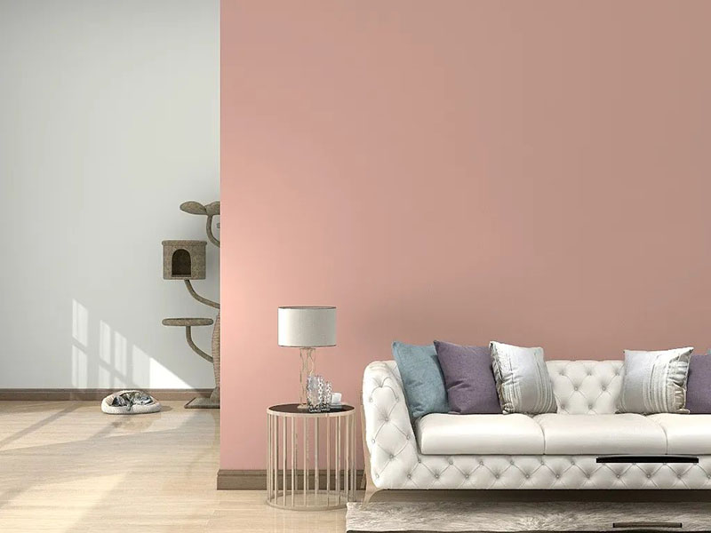 鉴黑担保网(jhdbw)·最具权威唯一维权担保平台